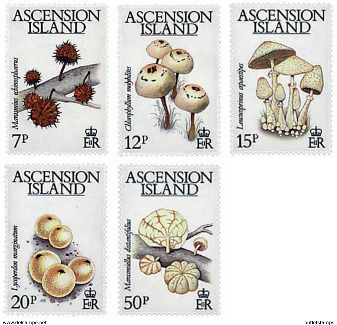 Ref. 34505 * NEW *  - ASCENSION ISLAND . 1983. MUSHROOMS. SETAS - Ascension