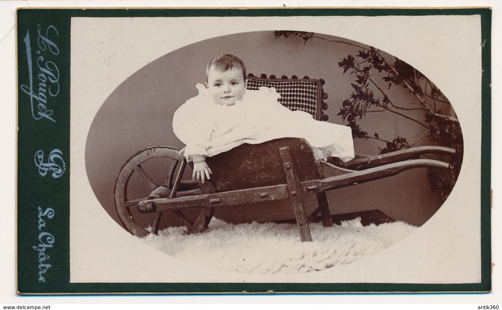 Photo Ancienne XIXe CDV Circa 1900 Bébé Dans Une Brouette Photographie Pouget La Châtre (37) - Sonstige & Ohne Zuordnung