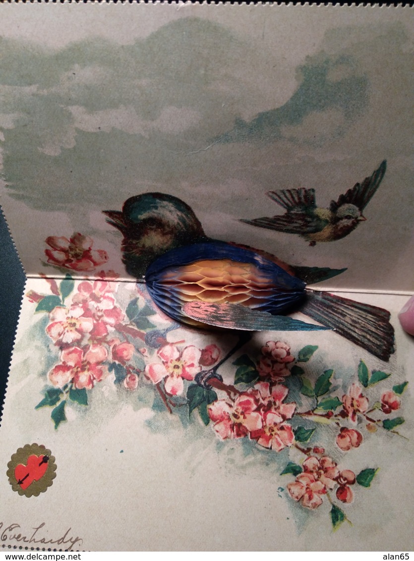 Fold-out Bird Greetings, Crepe Paper 3-D When Unfolded, 1900s Vintage Postcard - Mechanical