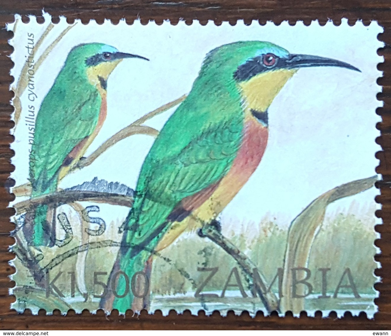 Zambie - YT N°1213 - Oiseaux / Guêpiers - 2002 - Oblitéré - Zambie (1965-...)