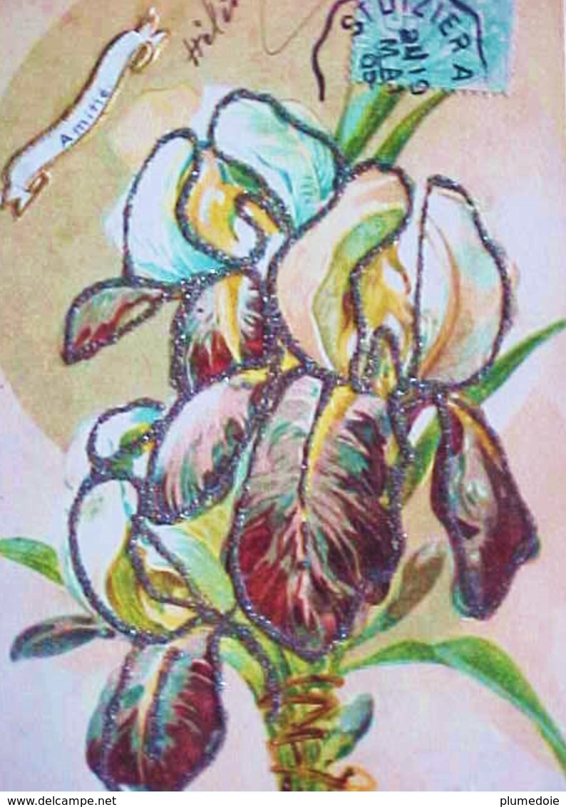 Cpa FLEURS IRIS MULTICOLORES Et Paillettes , 1905 , IRISES FLOWERS Early Pc - Fleurs