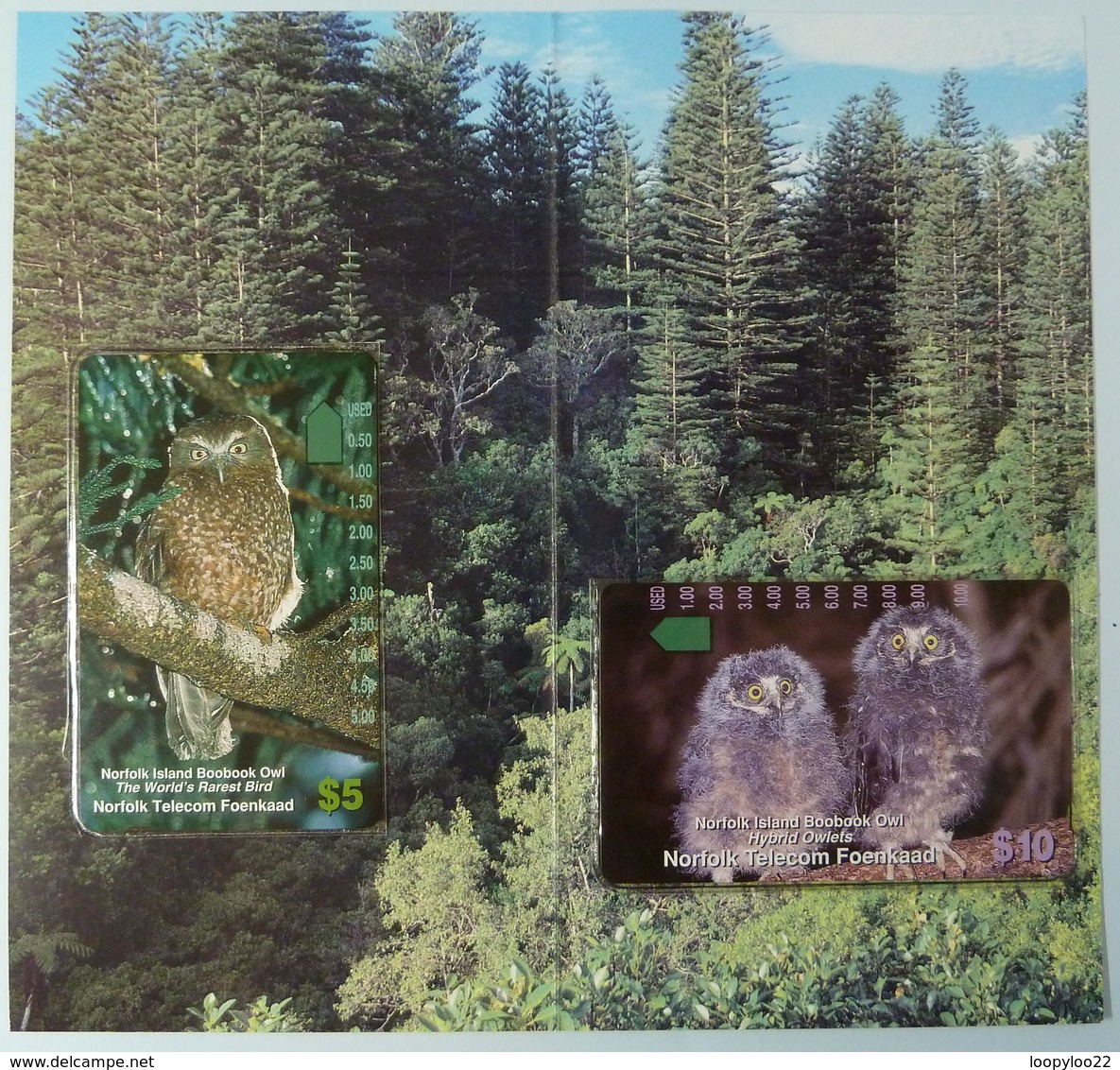 NORFOLK ISLAND - Boobook Owl - Set Of 2 - $5 & $10 - Limited Edition Collector Folder - Mint - Norfolk Island