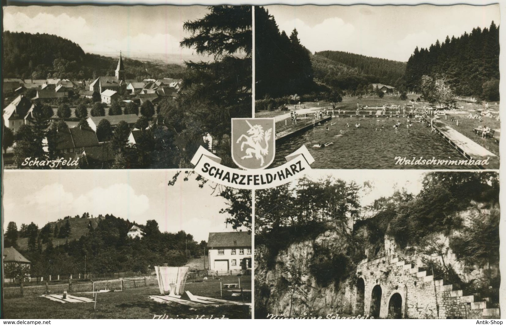 Schwarzfeld / Harz V. 1965  4 Dorfansichten Mit Waldschwimmbad  (2638) - Herzberg