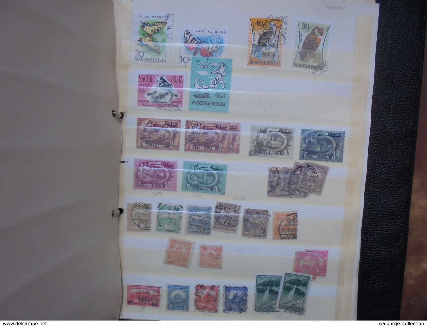 MONDE BEAU VRAC VARIETES DE PLUSIEURS MILLIERS DE TIMBRES DONT ALBUMS (6 KILOS)