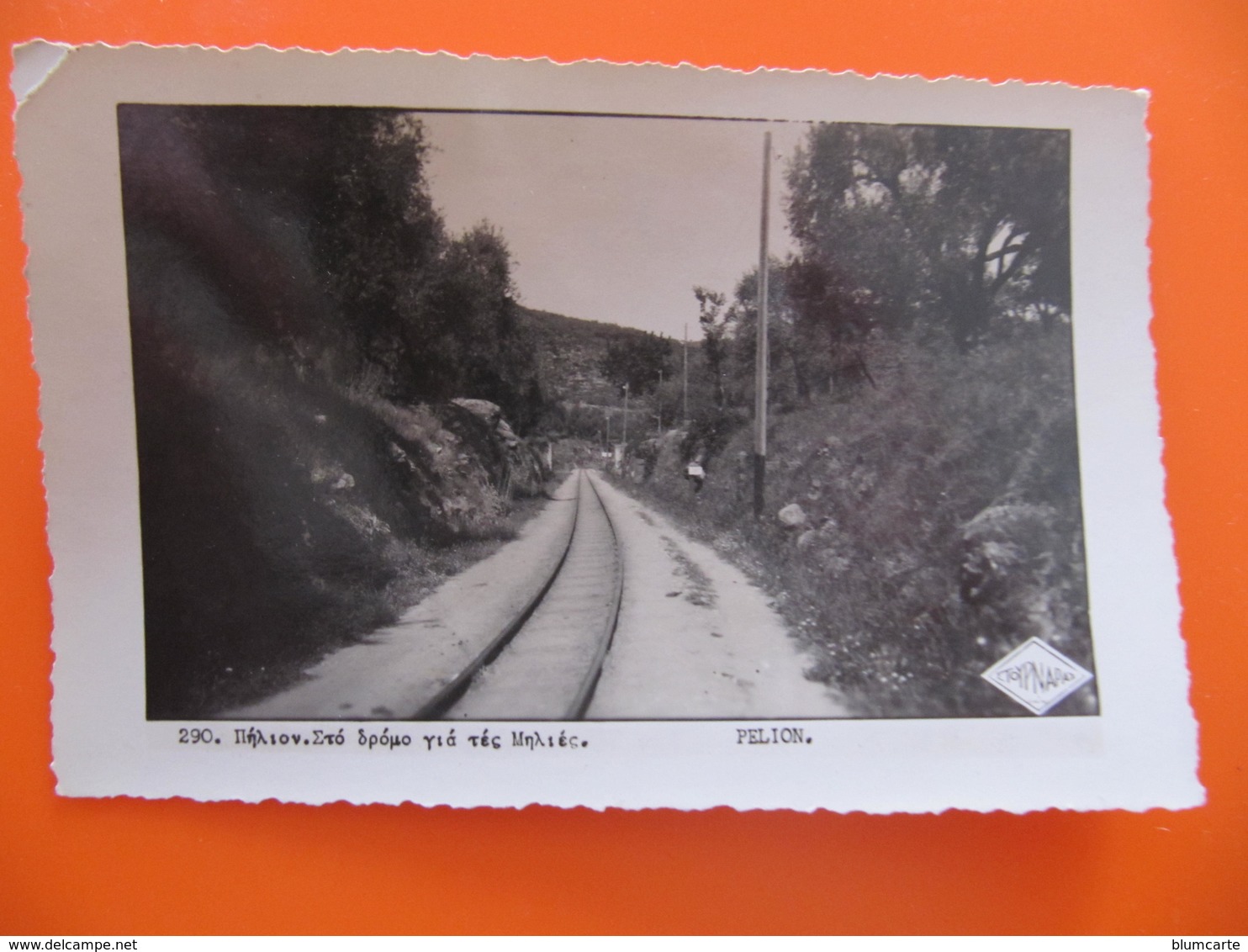 CPSM - PELION - VOIE DE CHEMIN DE FER - ETOYNAPAS - Grecia