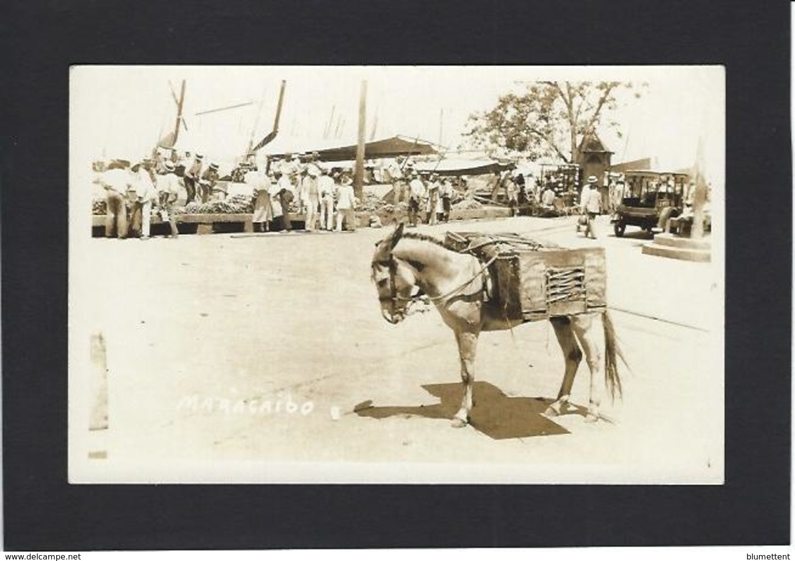 CPA Vénézuela Carte Photo RPPC Non Circulé Maracaibo Ane - Venezuela