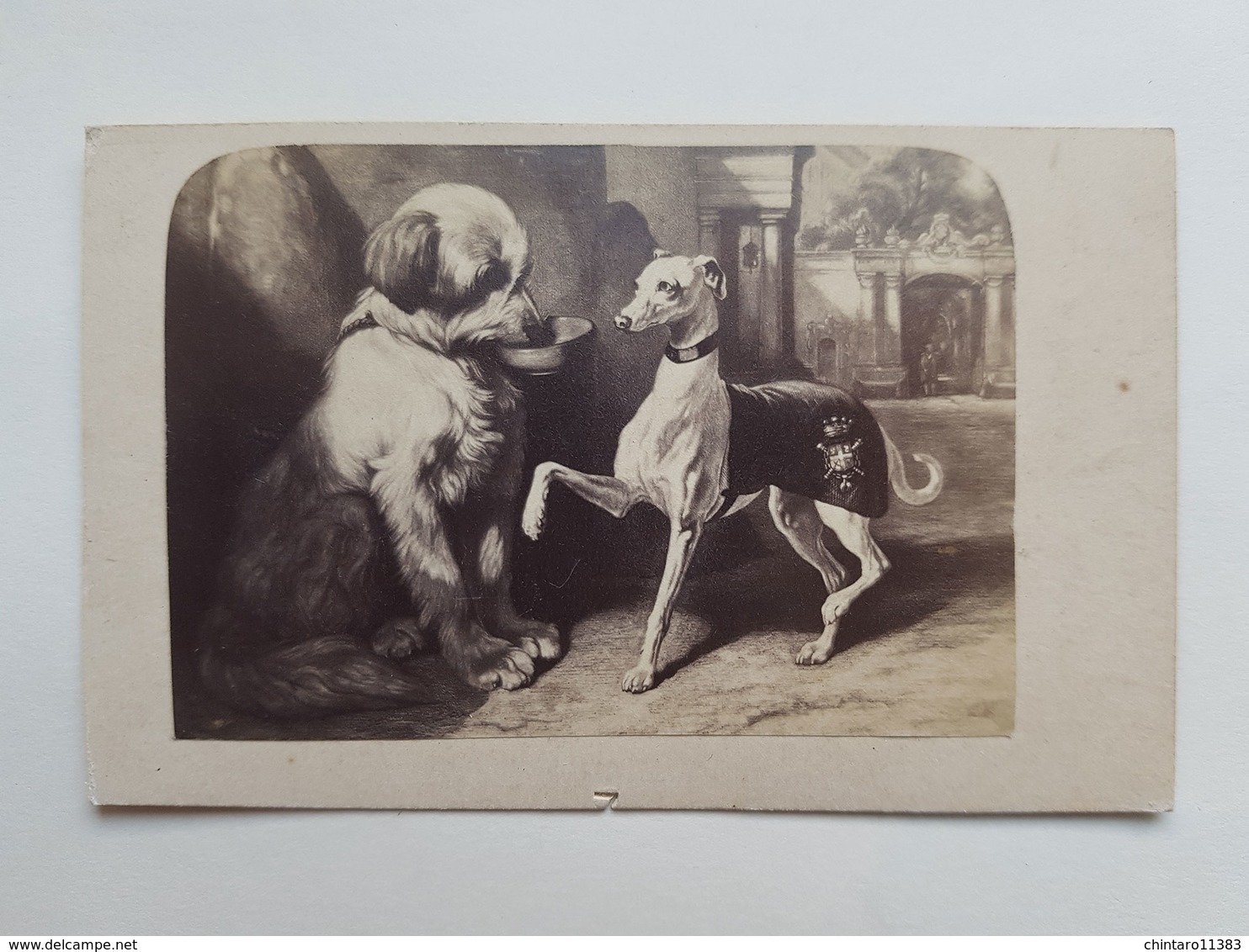 Lot 6 Anciennes Photos De Peintures De Chiens - Bulla Frères/Goupil & Cie/Landseer 710 Beauty's Bath - Vers 1860 - Old (before 1900)