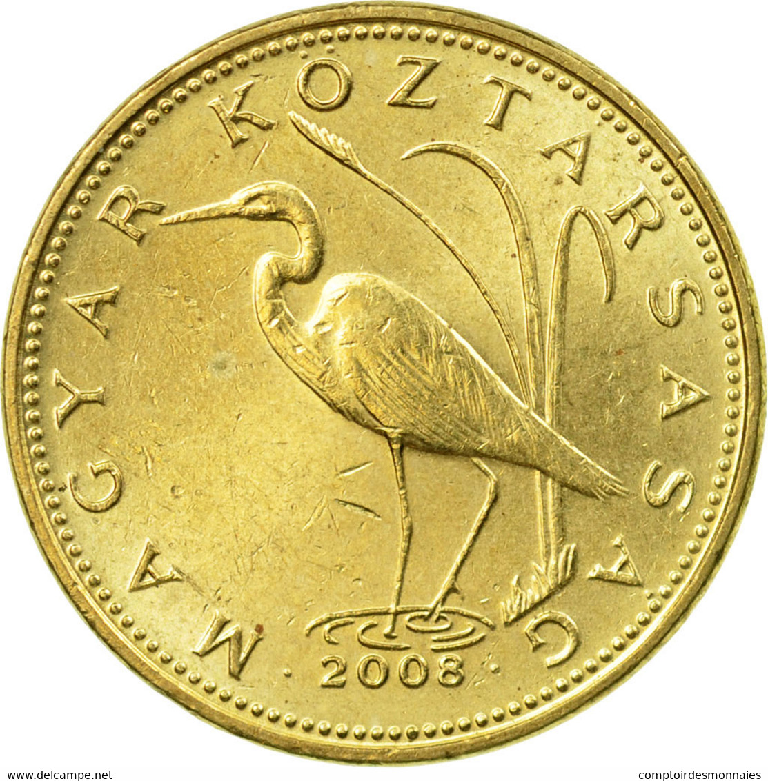 Monnaie, Hongrie, 5 Forint, 2008, Budapest, TTB, Nickel-brass, KM:694 - Hongrie
