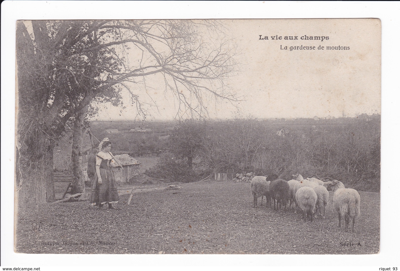 LA VIE AUX CHAMPS - La Gardeuse De MOutons - Viehzucht