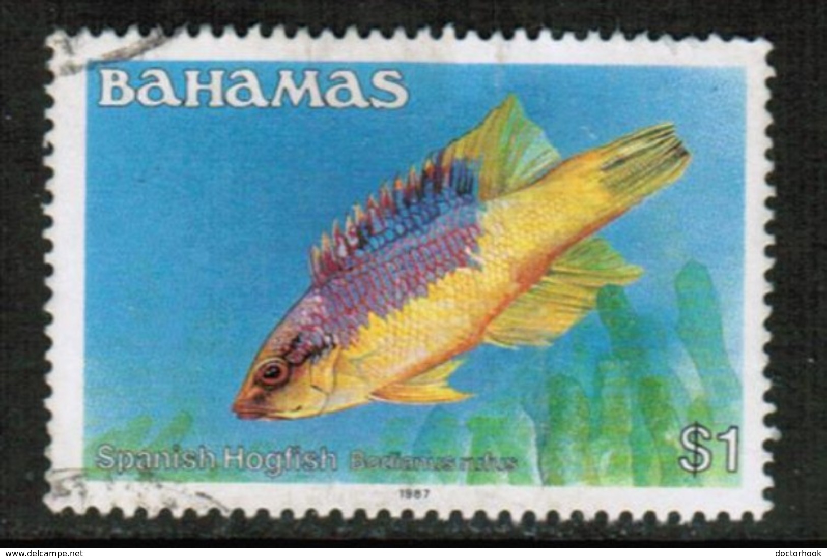 BAHAMAS  Scott # 615 VF USED (Stamp Scan # 430) - Bahamas (1973-...)