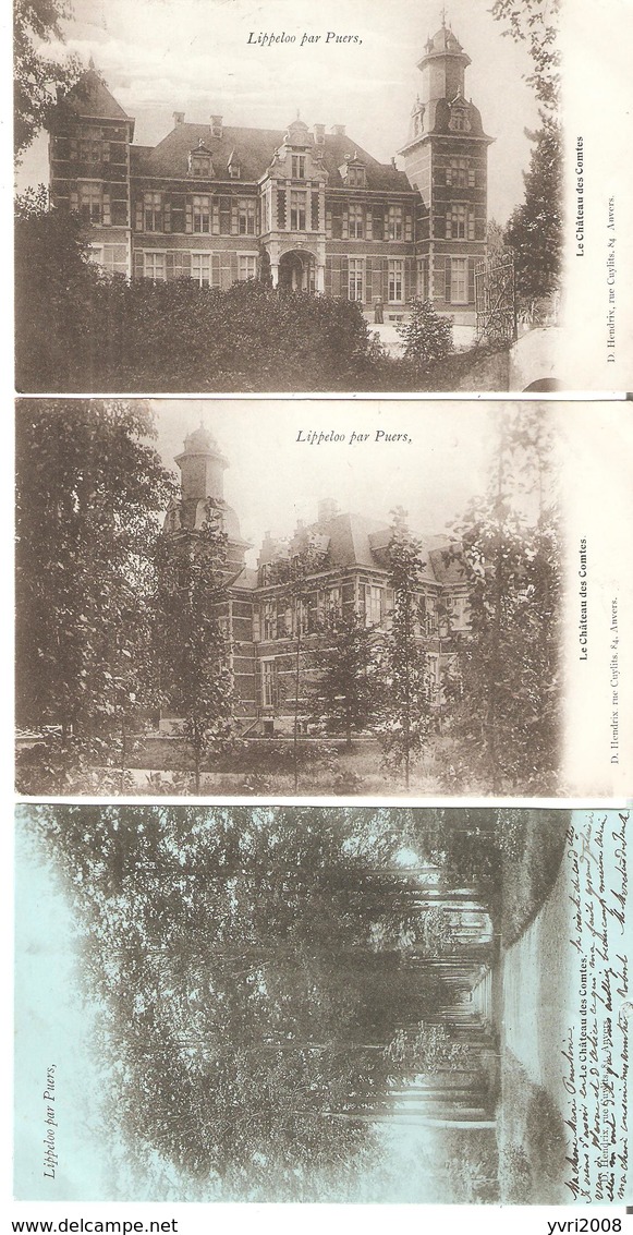 3 CP. De LIPPELOO Par PUURS - Le Château Des Comtes  - D. Hendrix à Anvers En 1903. - Puurs