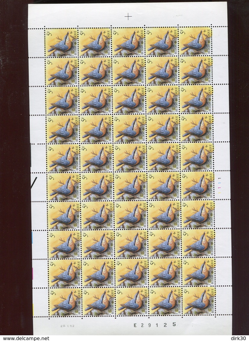 Belgie 2294 Novarode  Buzin Volledig Vel FULL SHEET Vogels Birds Oiseaux MNH Plaatnummer 1 28/1/1992 - 1985-.. Vögel (Buzin)