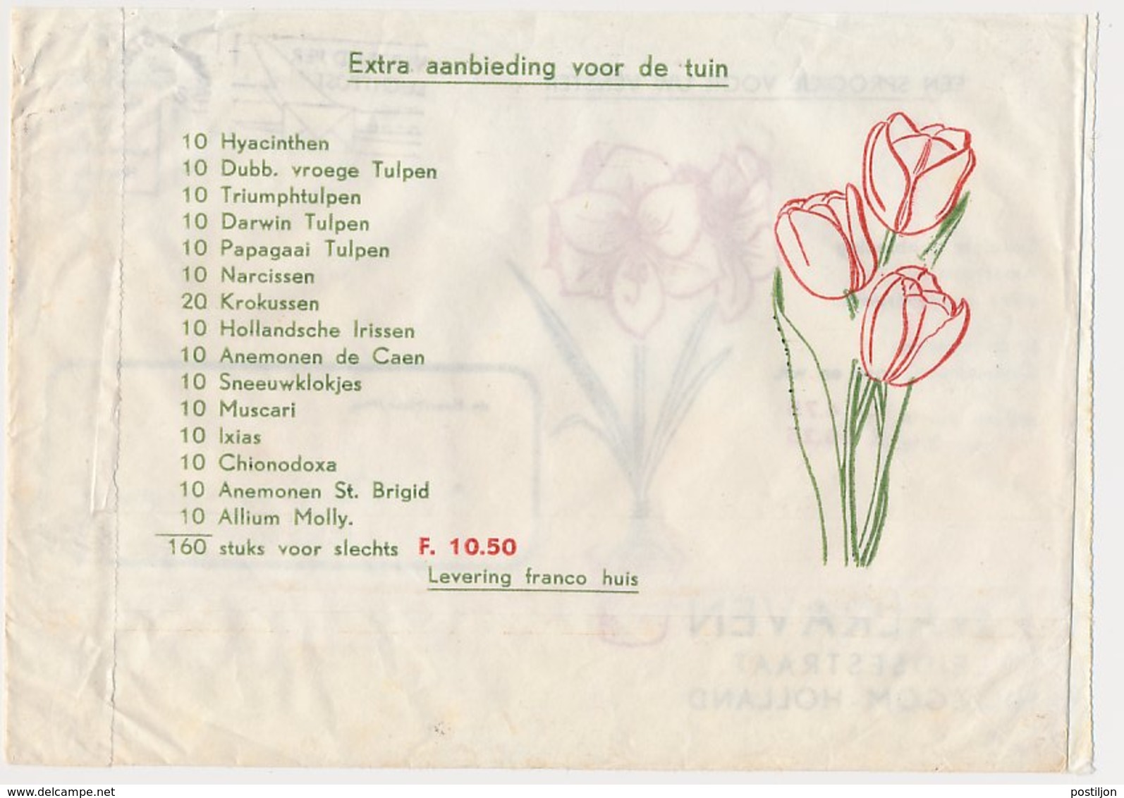 Firma Envelop Hillegom 1964 - Bloembollen - Non Classés
