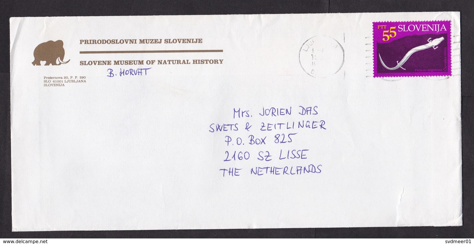 Slovenia: Cover To Netherlands, 1 Stamp, Lizard Animal, Reptile, Sent By Museum Of Natural History (roughly Opened) - Slovenië