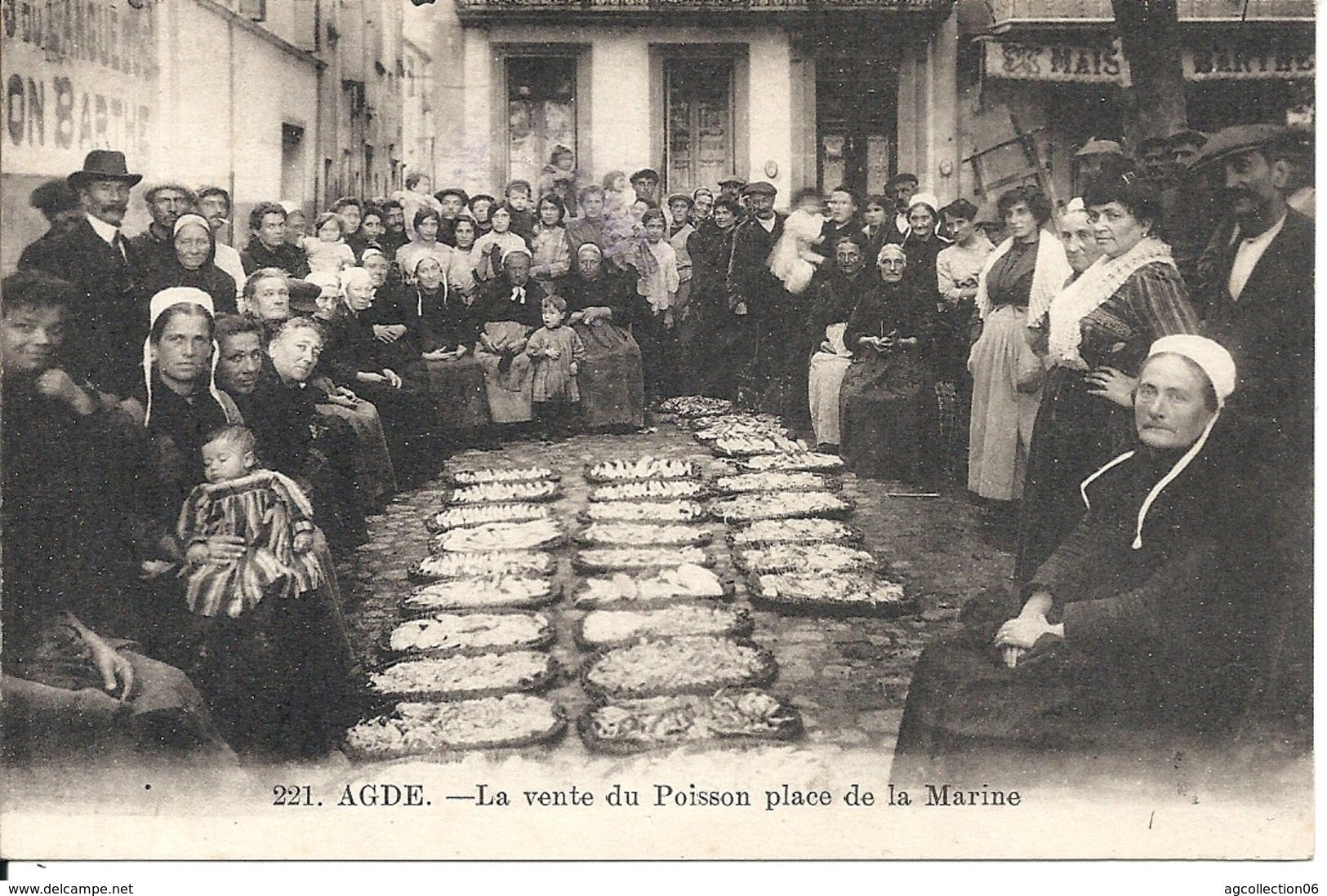 LA VENTE DU POISSON PLACE DE LA MARINE - Agde