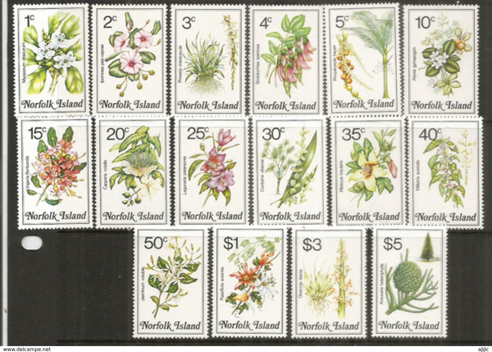 Les Fleurs Et Végétation De L'ÎLE NORFOLK , Série Complète, Côte 35,00 Euro - Isola Norfolk