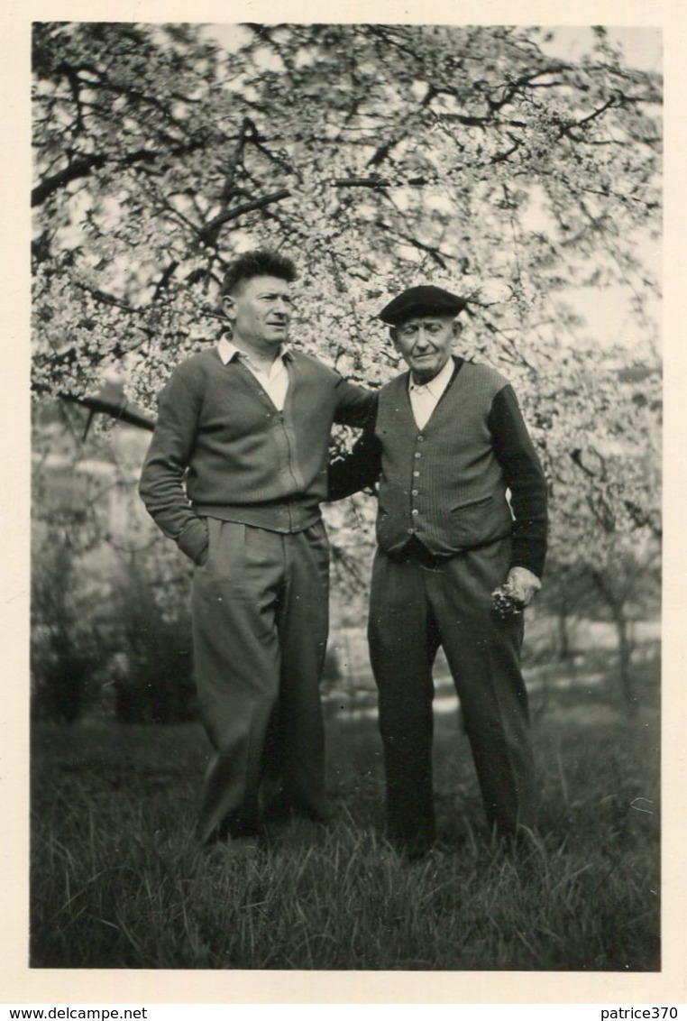 PHoto Prise Dans Un Verger à Bourré Montrichard Val De Cher En Mars 1957 Arbres En Fleurs - Lieux