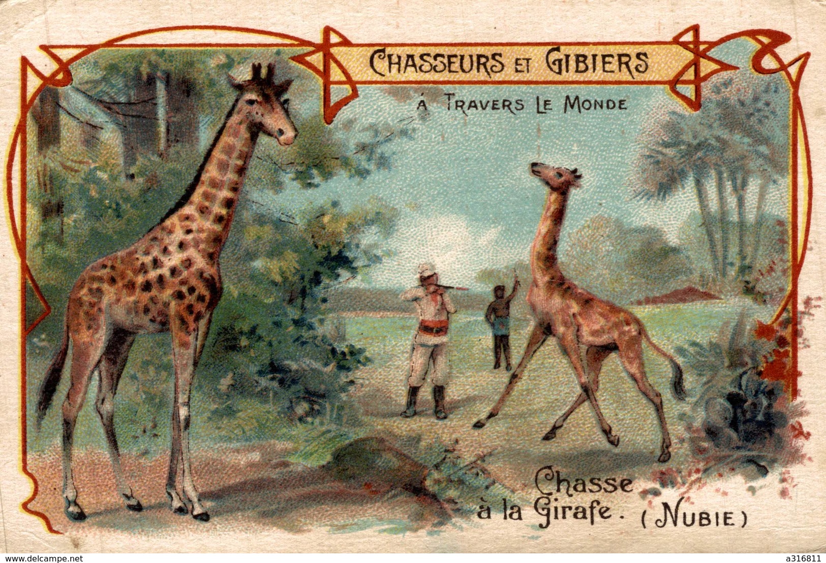 CHASSEURS ET GIBIERS A TRAVERS LE MONDE CHASSE A LA GIRAFE - Autres & Non Classés