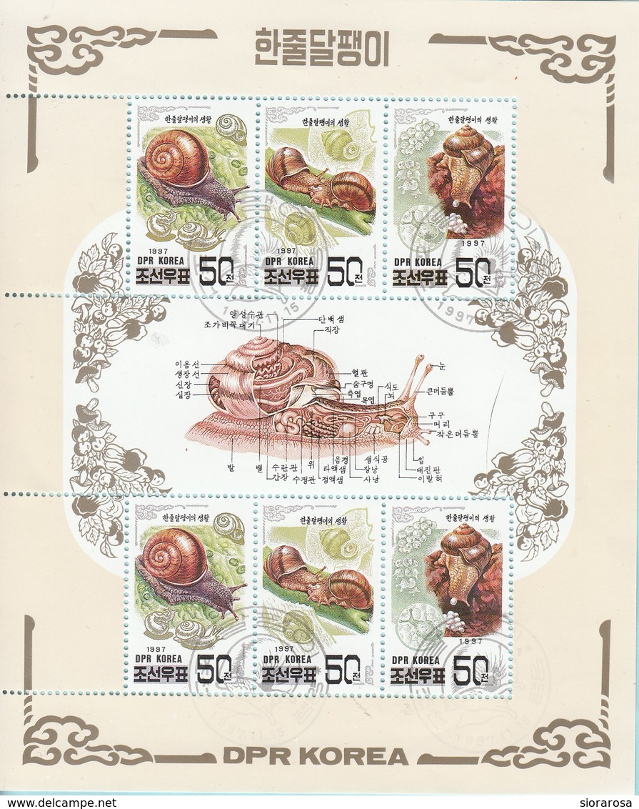 DPR Korea 1997 Sc. 3683b Snails Lumache Sheet Perf. CTO - Corea Del Nord