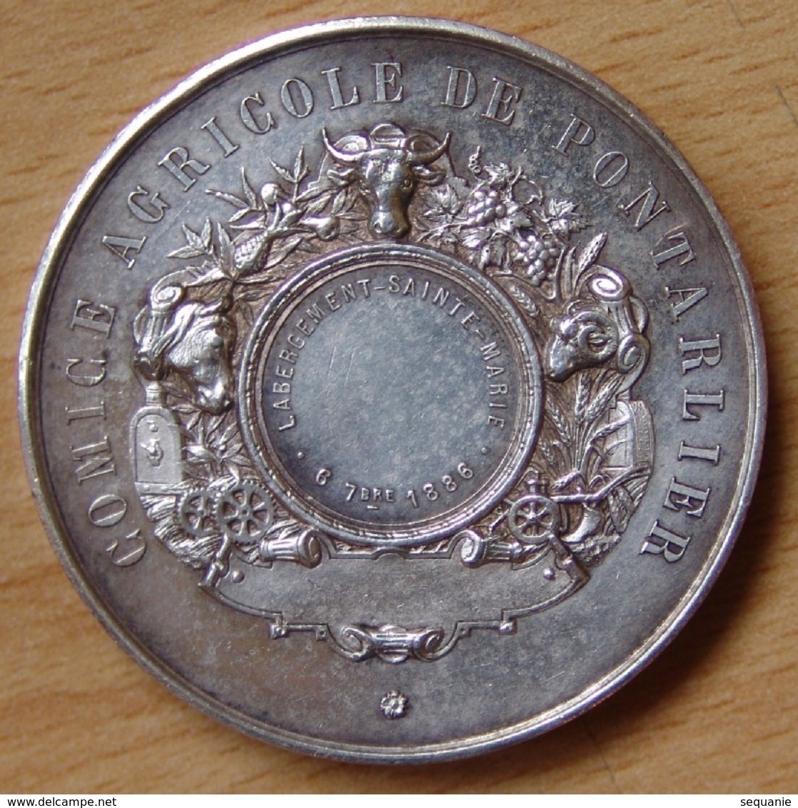 Médaille Comice Agricole De PONTARLIER (25) L'abergement Sainte-Marie 1886 - Professionnels / De Société