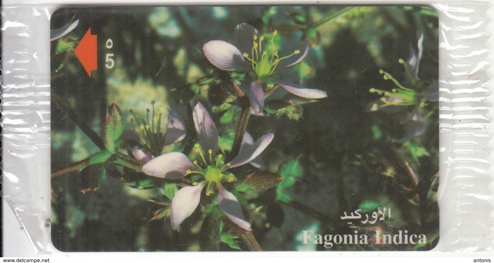 OMAN(GPT) - Fagonia Indica, CN : 52OMNK(normal 0), Tirage 50000, 04/01, Mint - Oman