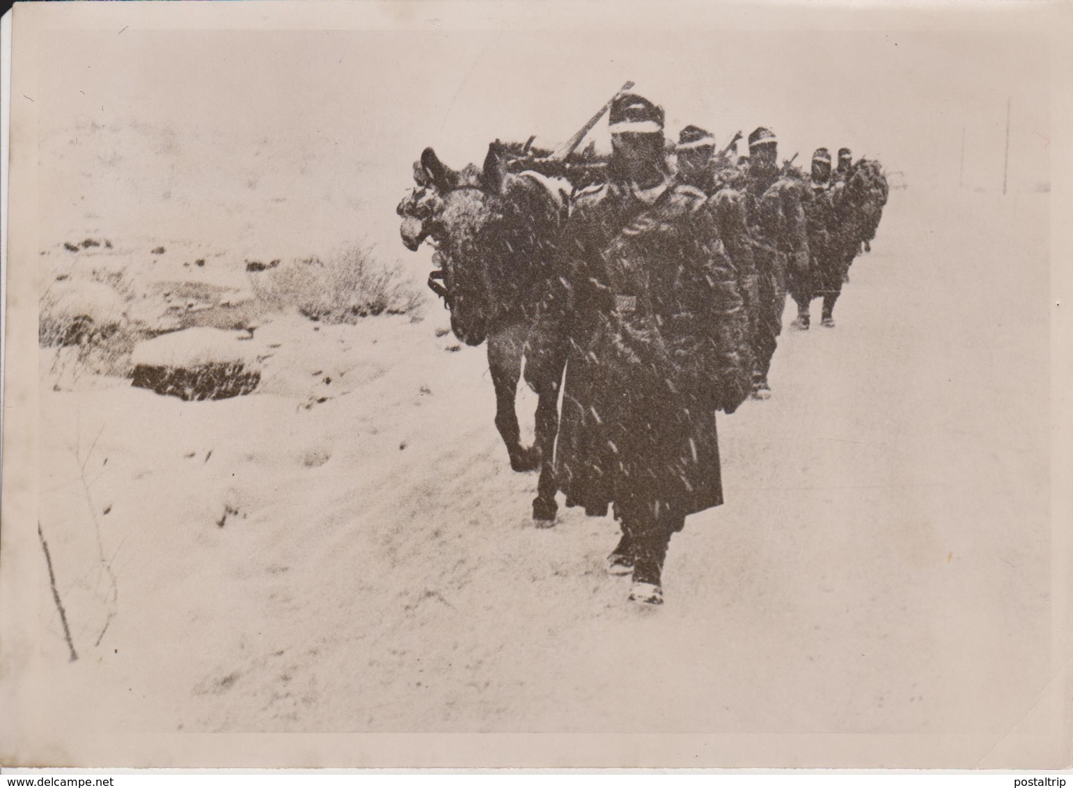 WW2     FOTO DE PRESSE - Guerra, Militari