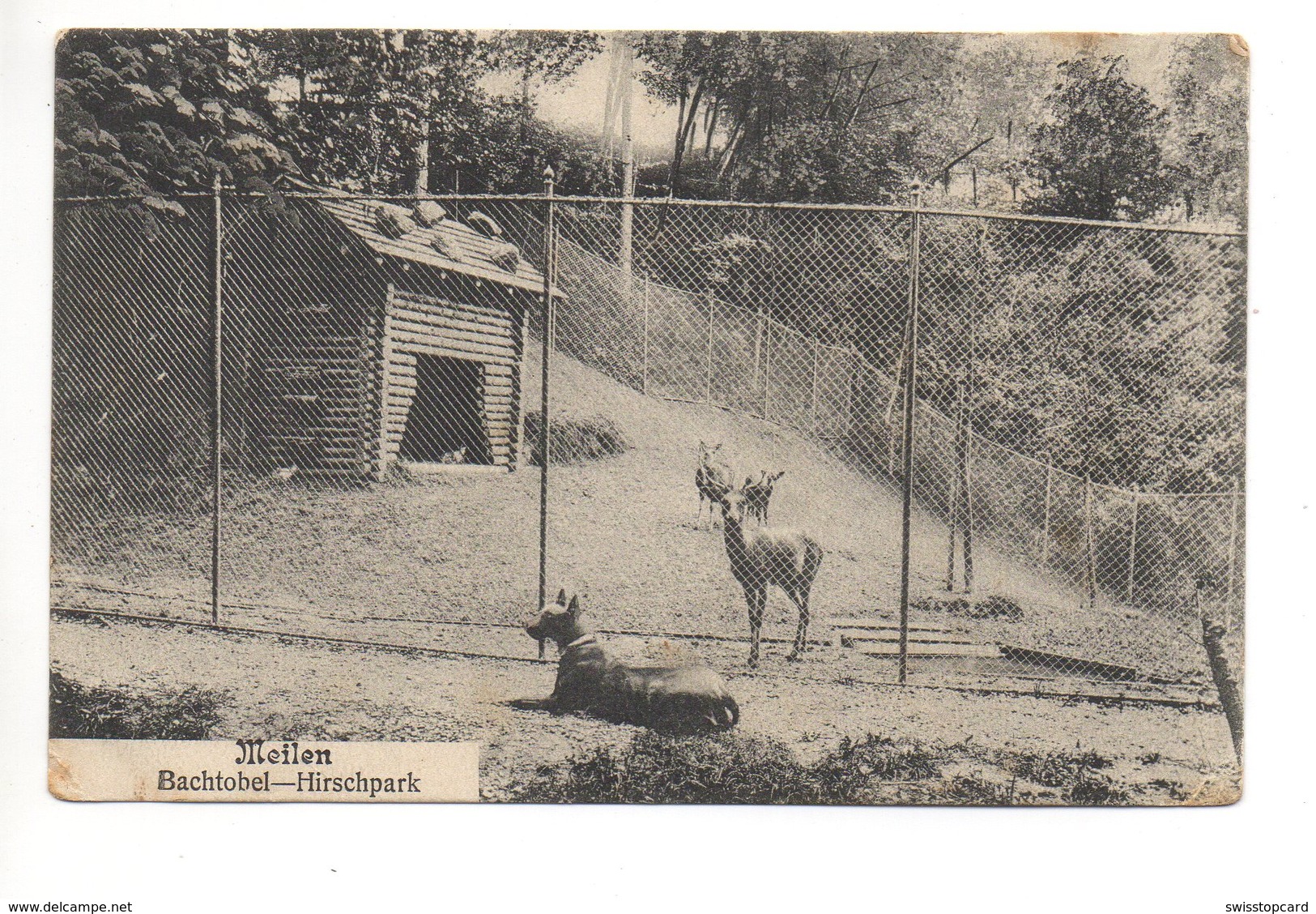 MEILEN Bachtobel Hirschpark Gel. 1909 N. Windisch - Meilen