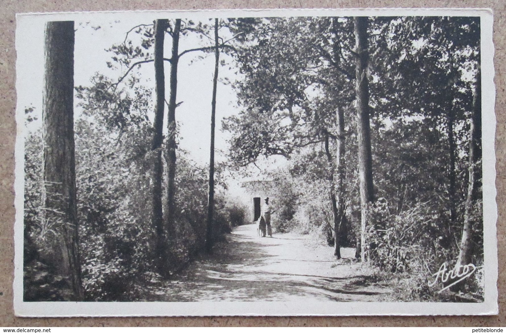 (J960) - Site Classé De Freyr - Allée Vers Le Point De Vue - Hastière