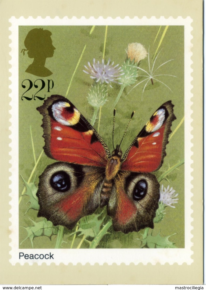 PEACOCK  BUTTERFLIES  Reproduced From A Stamp - Francobolli (rappresentazioni)