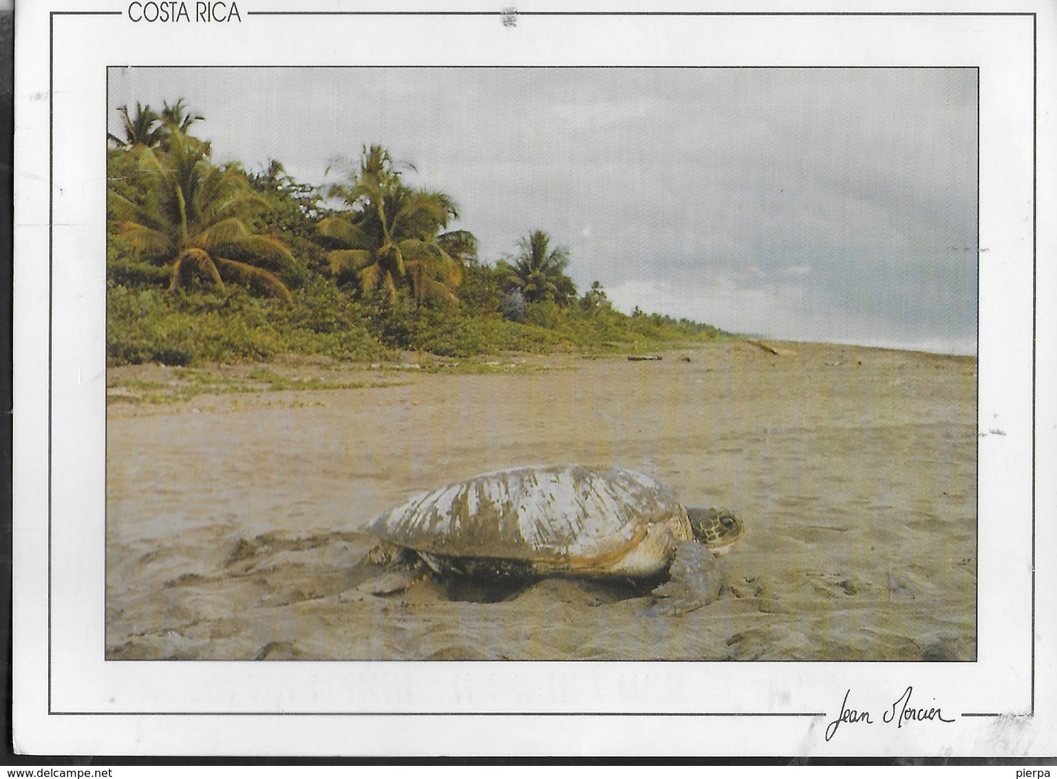 COSTARICA - SPIAGGIA E TARTARUGA -  VIAGGIATA DA NEW YORK 1998 - Costa Rica