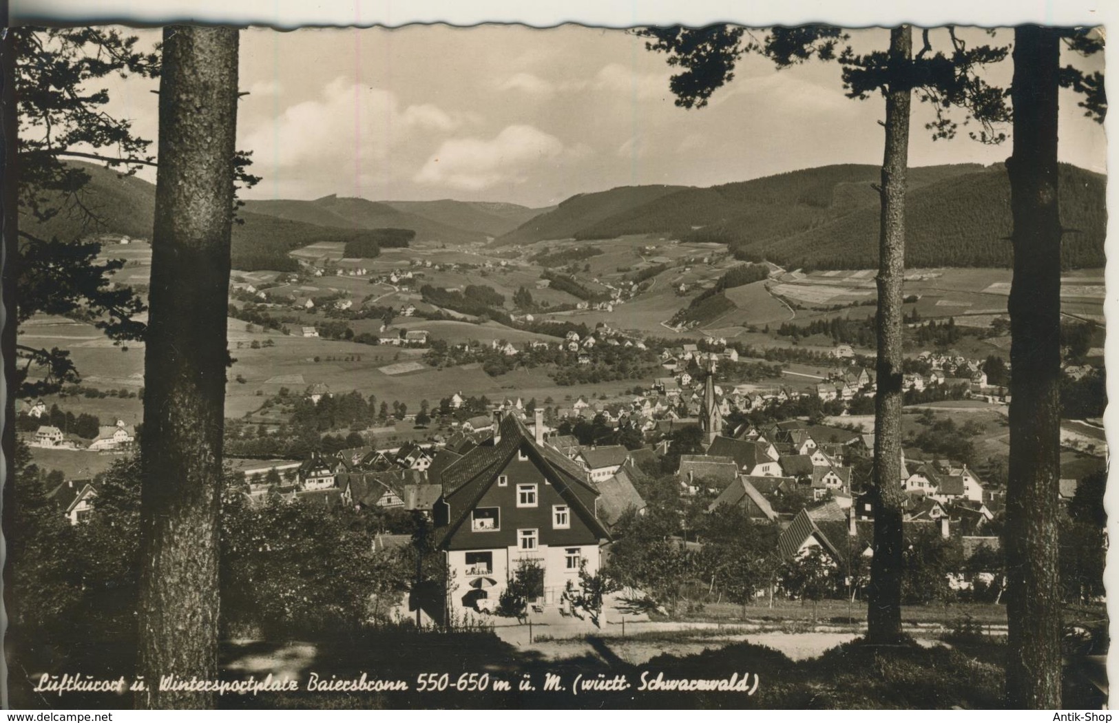 Baiersbronn V. 1954  Stadt-Ansicht  (2755) - Baiersbronn