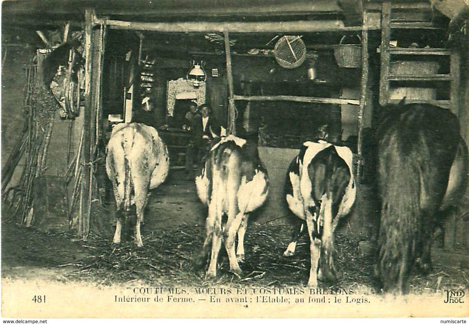 Cpa CMCB 481Coutumes Moeurs Et Costumes  Bretons - Intérieur De Ferme - En Avant : L' Etable ; Au Fond : Le Logis - Fermes