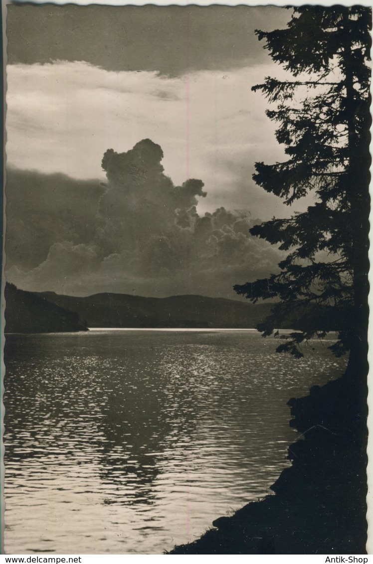 Schluchsee V. 1954  Abendstimmung  (2776) - Schluchsee