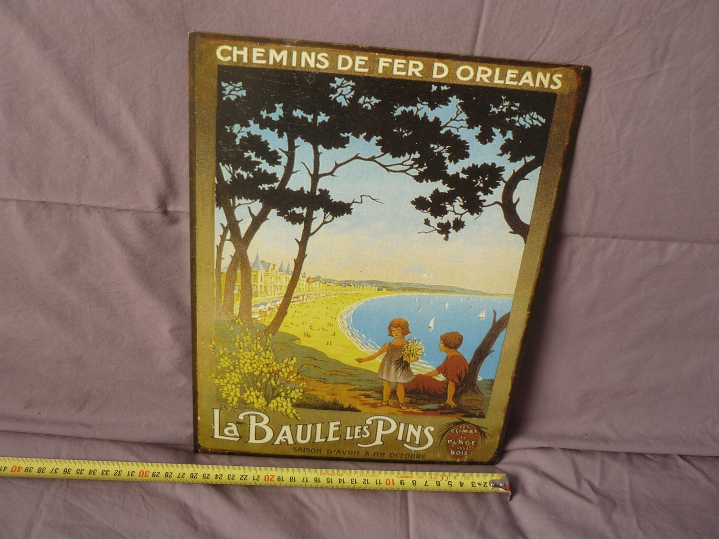 Plaque CHEMINS DE FER D'ORLEANS LA BAULE LES PINS 35cmx27cm - Autres & Non Classés