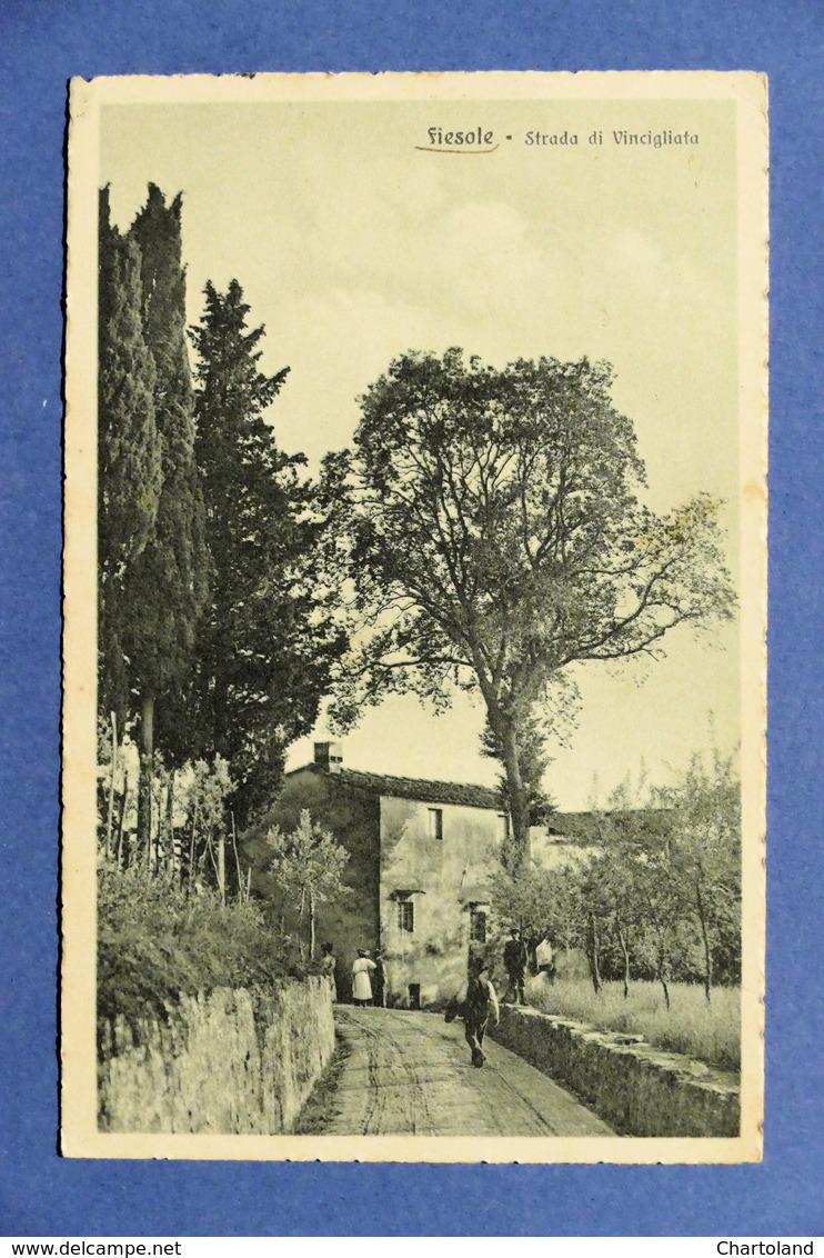 Cartolina Fiesole - Strada Di Vincigliata - 1916 - Firenze