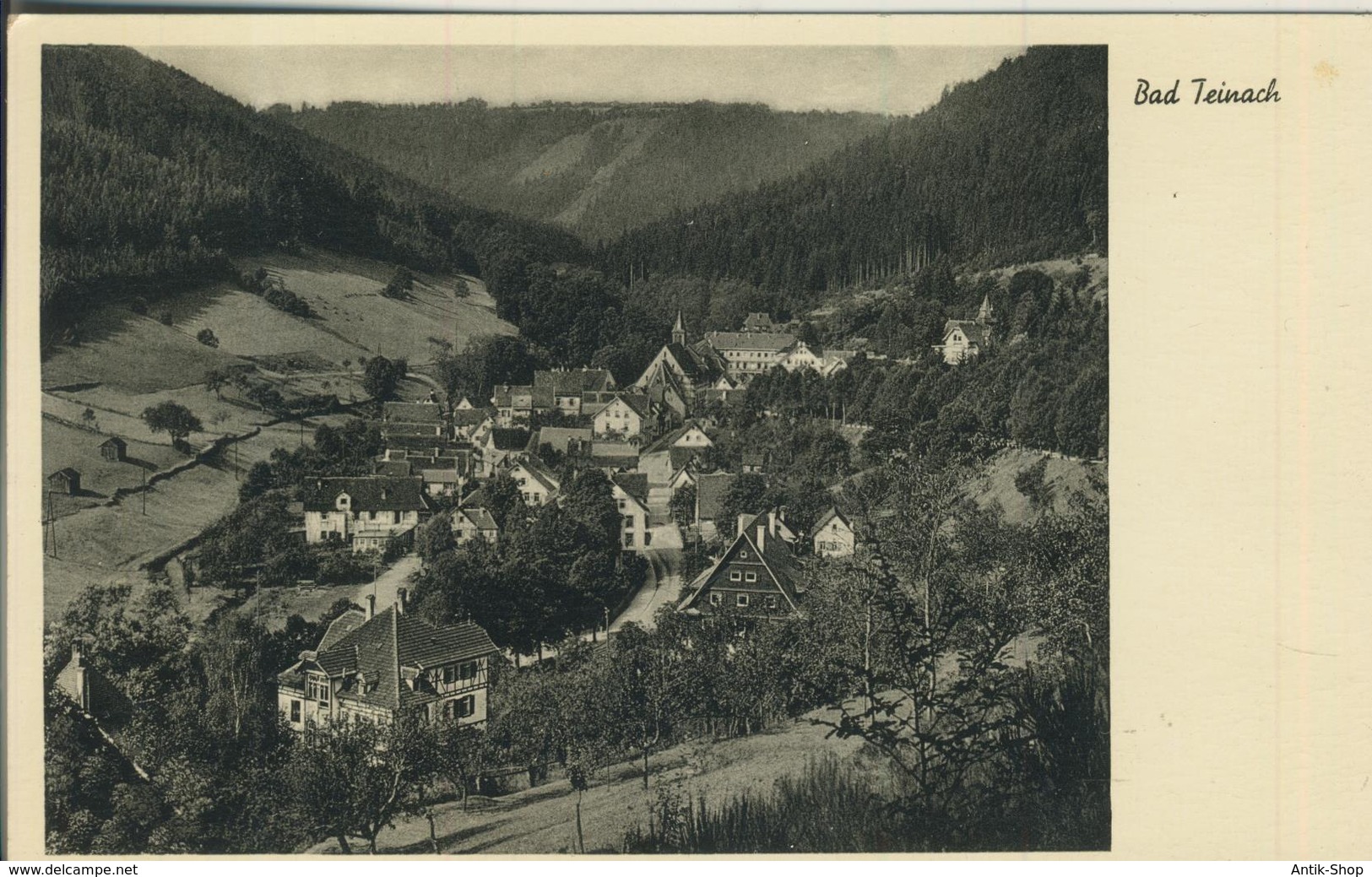 Bad Teinach V. 1936  Dorfansicht  (2782) - Bad Teinach