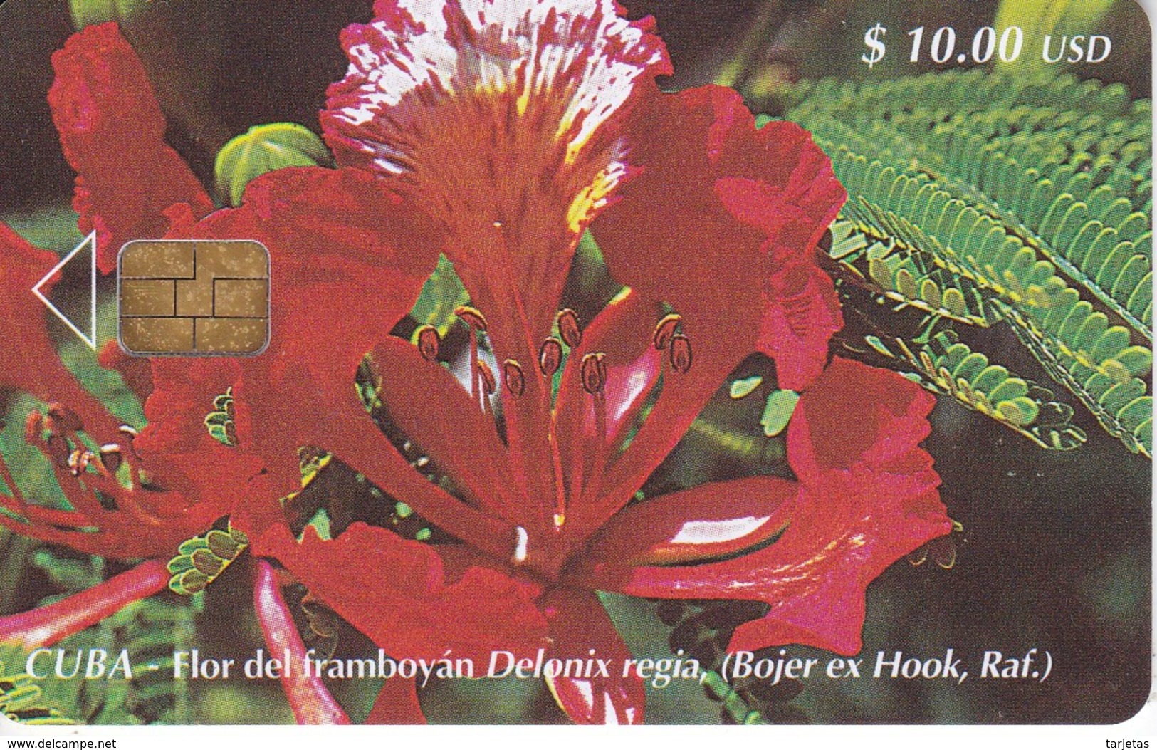 TARJETA DE CUBA DE LA FLOR DEL FLAMBOYAN (FLOWER) - Cuba