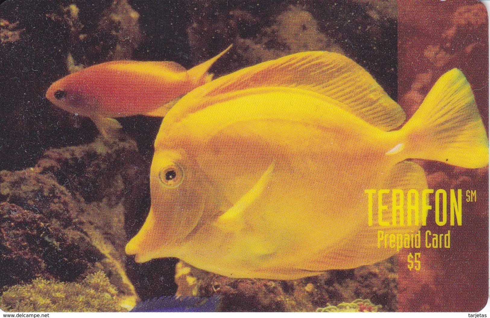 TARJETA DE PUERTO RICO DE UN PEZ AMARILLO (PEZ-FISH) (TERAFON) - Puerto Rico