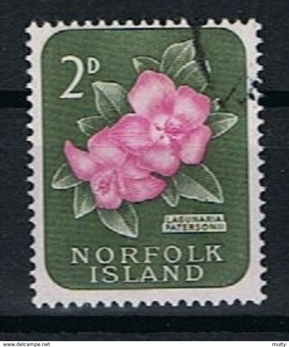 Norfolk Y/T 27 (0) - Ile Norfolk