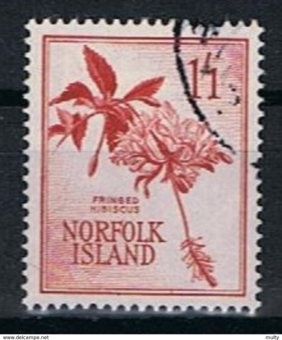 Norfolk Y/T 36 (0) - Isla Norfolk