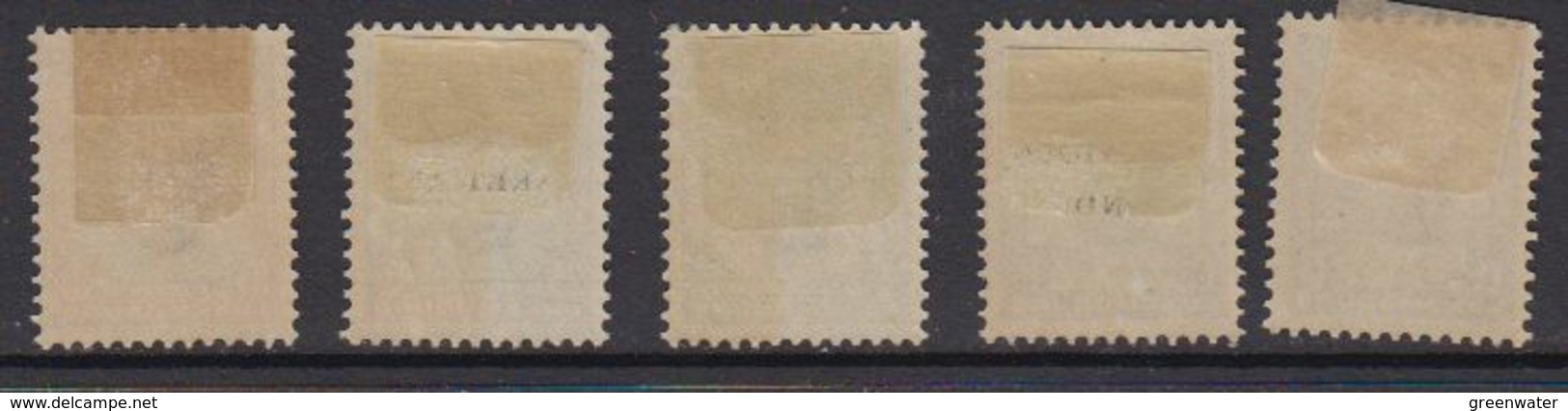 Luxemburg 1931 Caritas 5v ** Mnh (1v Mh) (brown Shadow On Gum) (41264B) - Ongebruikt