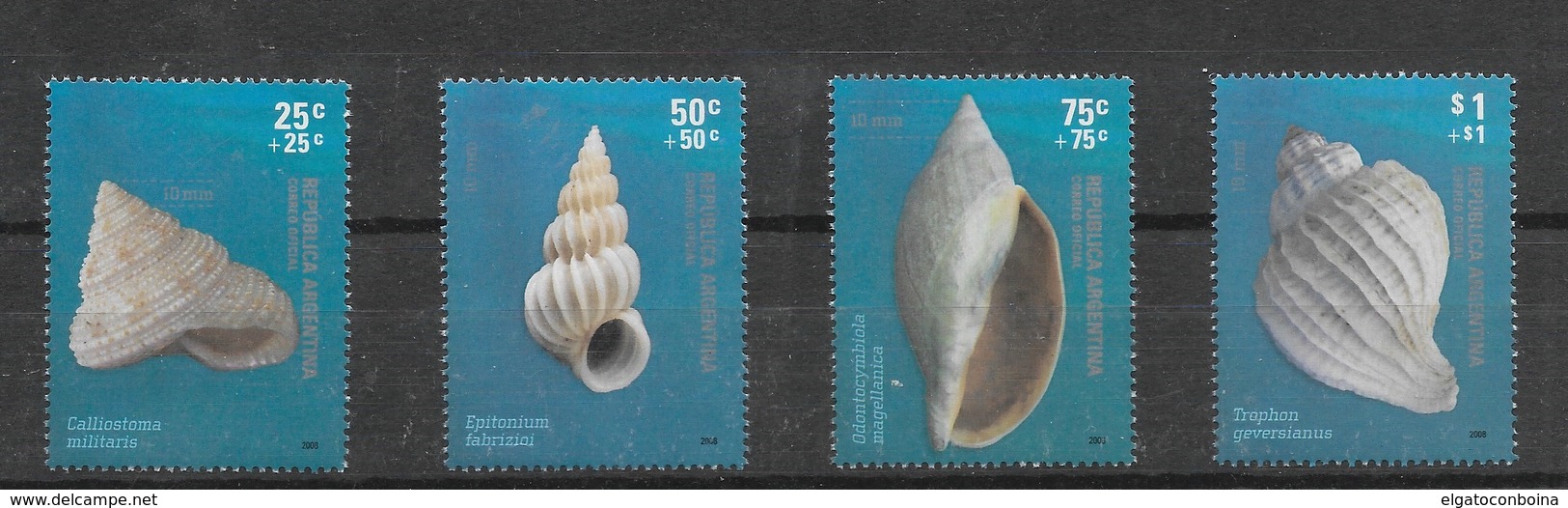 ARGENTINA 2008, ARGENTINA 2008, SHELLS, 4 VALUES SET SCOTT NUMBERS B193-B196 MNH - Unused Stamps