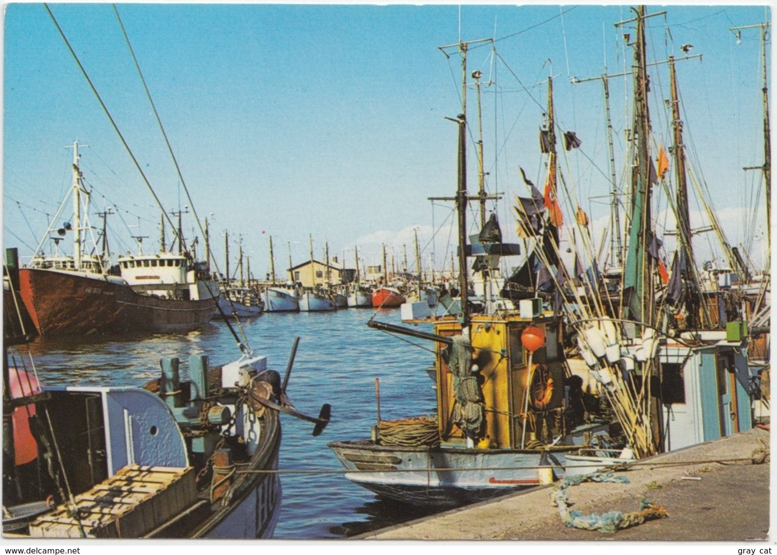 Hirtshals, Denmark, 1984 Used Postcard [22142] - Denmark