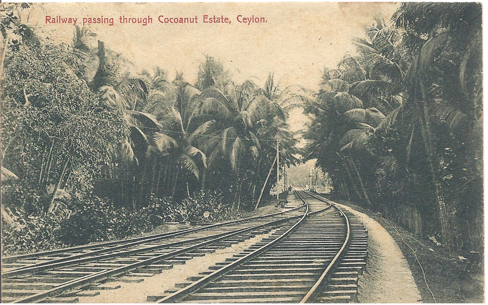 Alte Ansichtskarte Von  Sri Lanka - Ceylon - Sri Lanka (Ceylon)