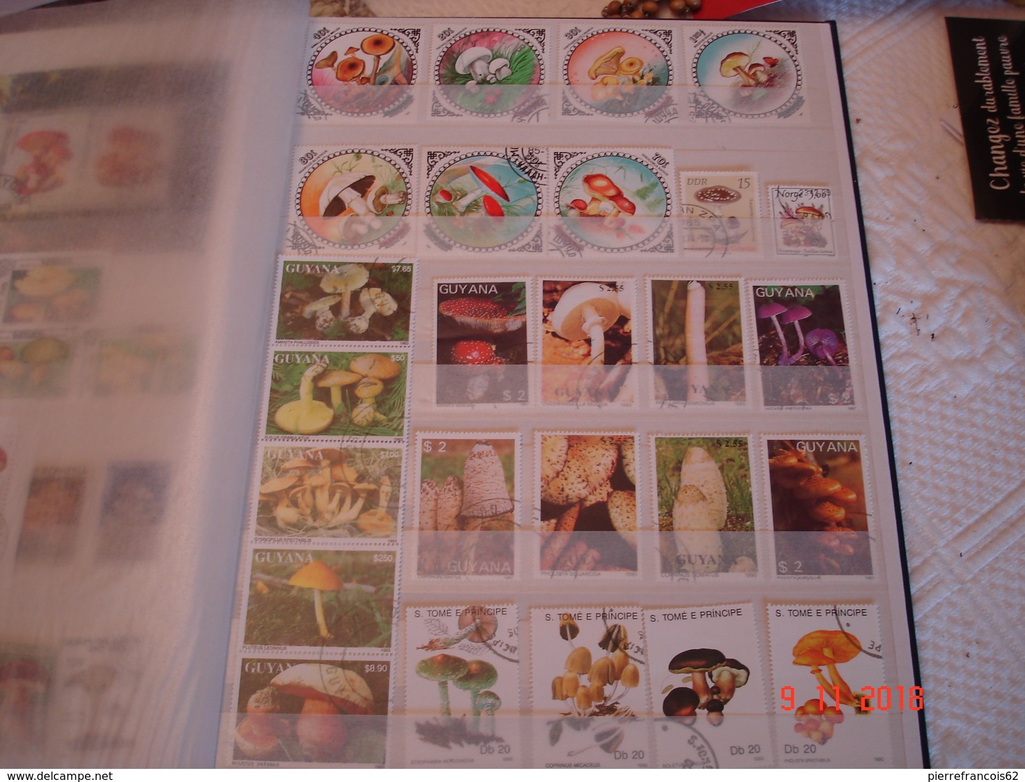 PETIT ALBUM COMPRENANT COLLECTION DE TIMBRES SUR LES CHAMPIGNONS DU MONDE - Collections (en Albums)