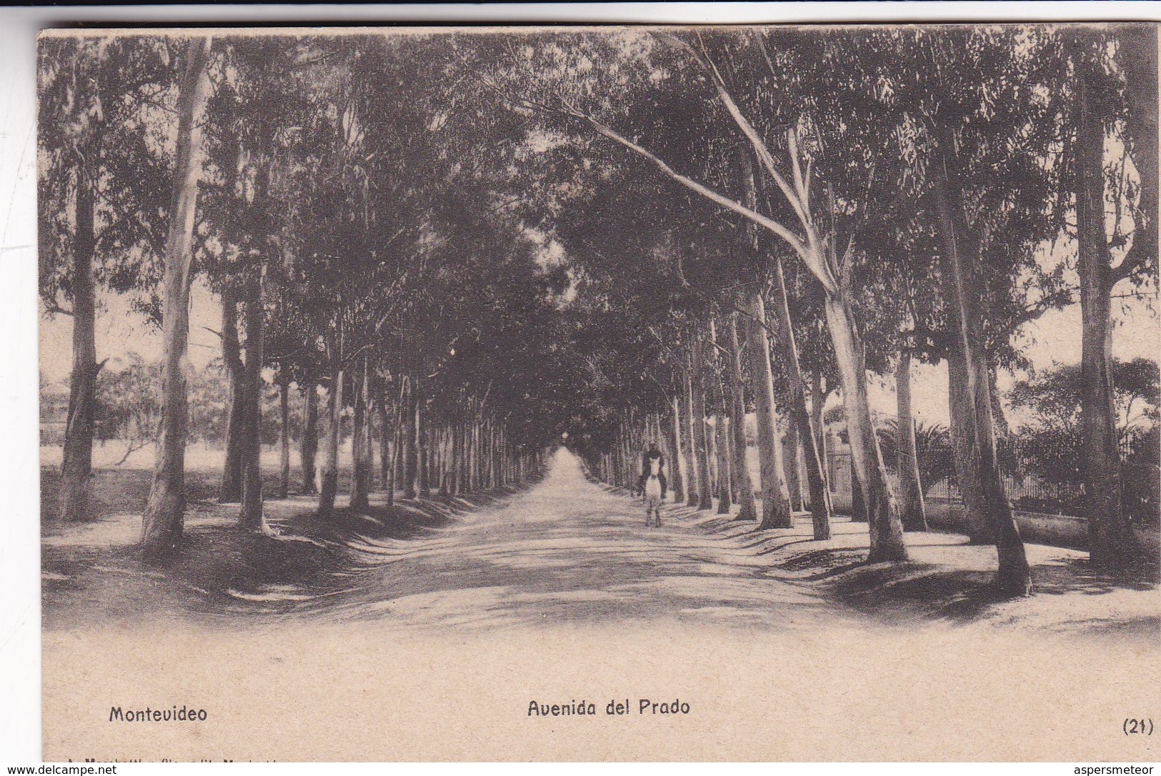 AV DEL PRADO. A MARCHETTI Y CIA. EDT MONTEVIDEO. URUGUAY. CIRCA 1900s NON CIRCULEE -BLEUP - Uruguay