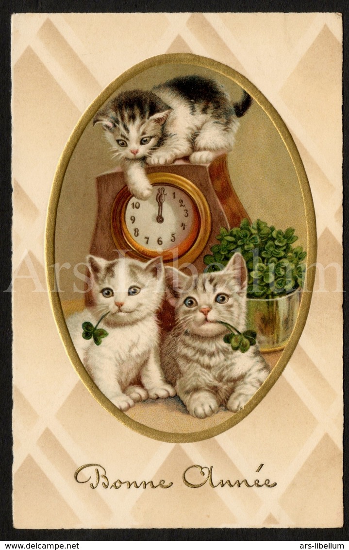 Postkaart / CPA / Postcard / Chats / Cats / Katten / Bonne Année / Unused / Ed. Pittius No 957 / 2 Scans - Chats