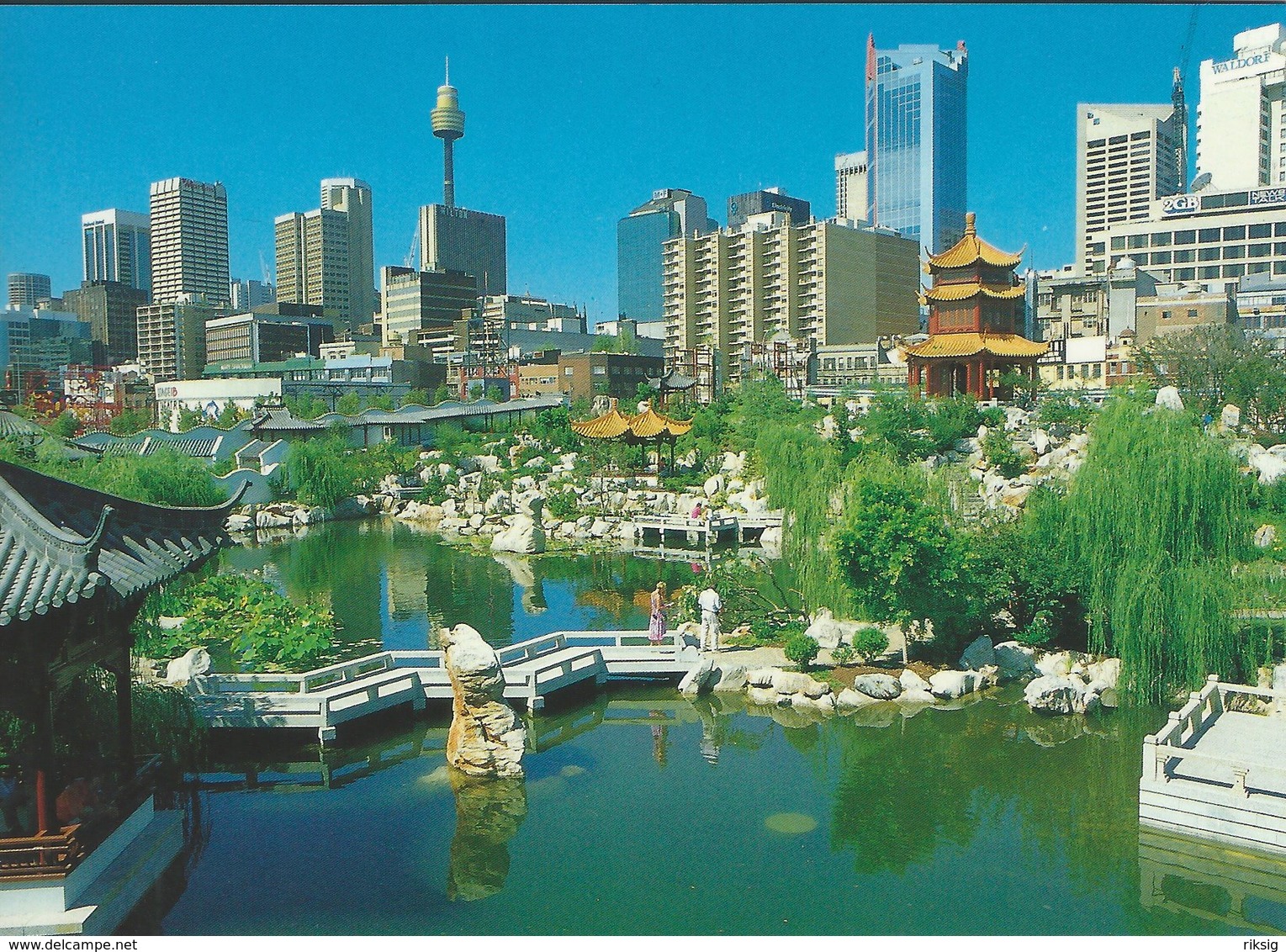 Chinese Garden - Darling Harbour Sydney. Australiua.   B-3319 - Sydney