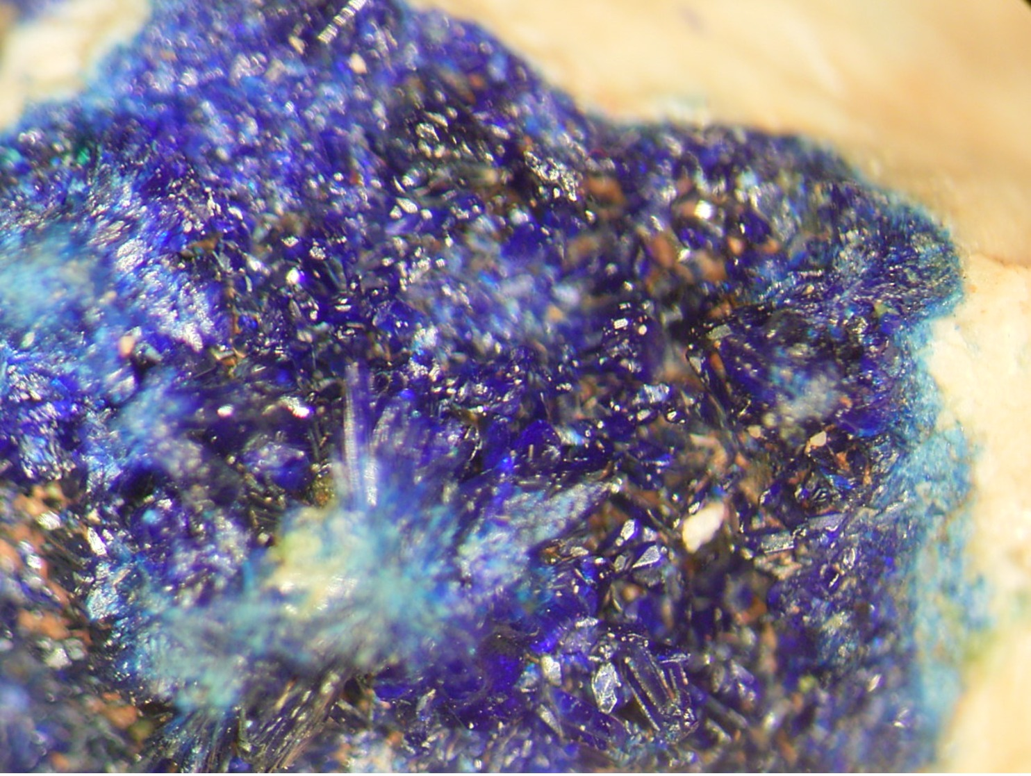 * AZURITE Xls, Osenbach, Haute Rhin, Vosges, France * - Minerals