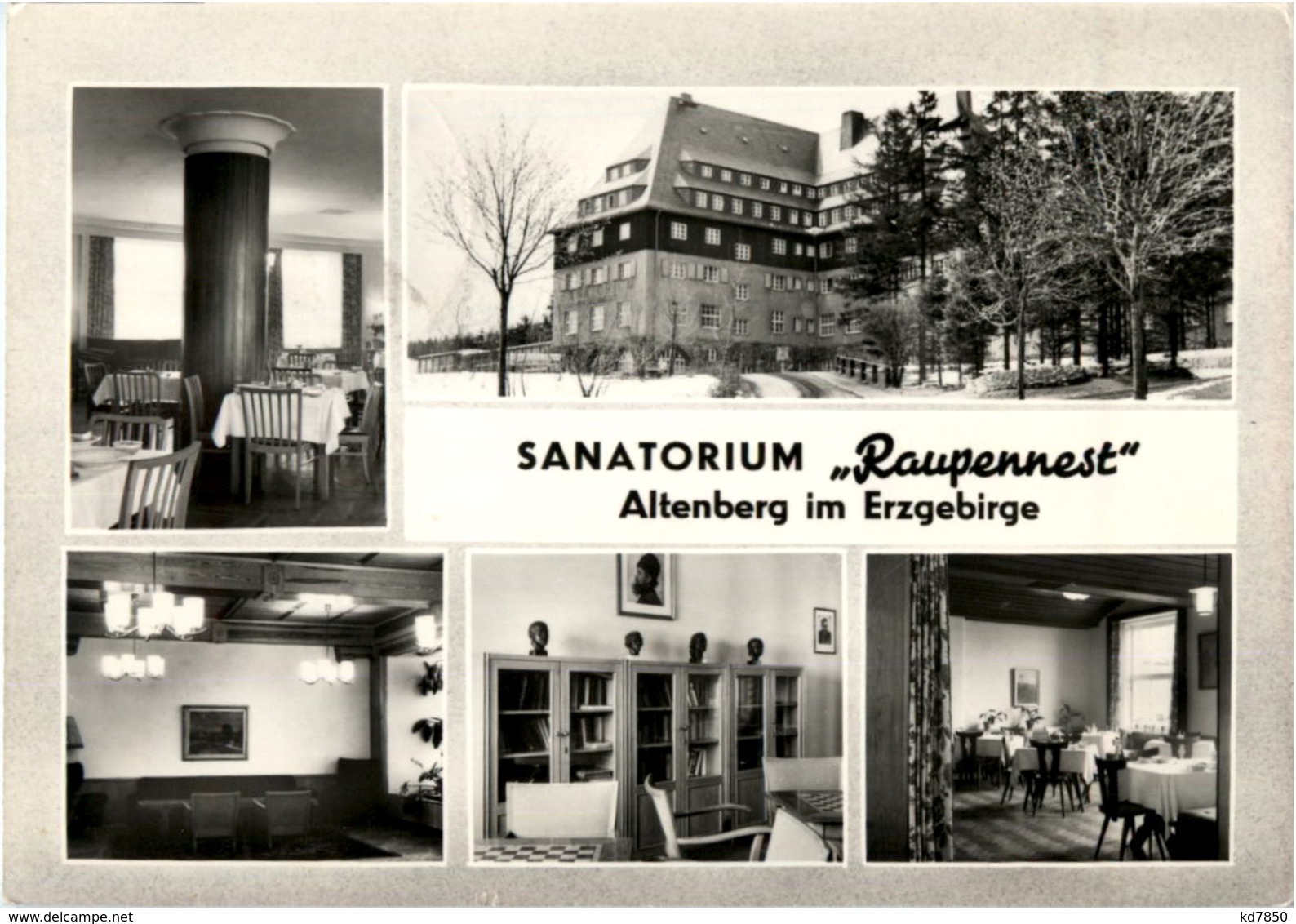 Altenberg - Sanatorium Raupennest - Altenberg